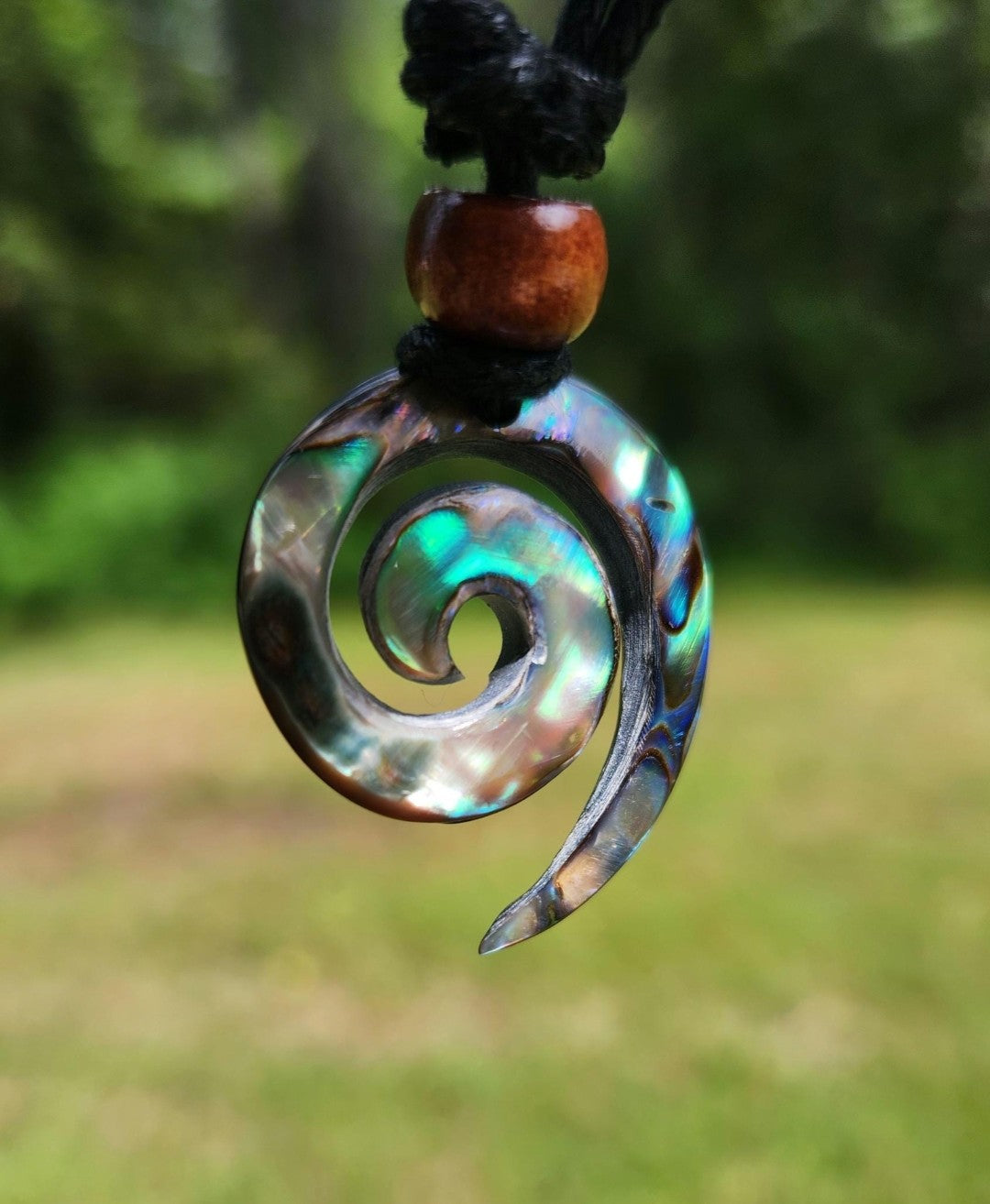 Paua Abalone Koru