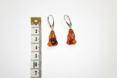 Baltic Amber Free Shape Earrings